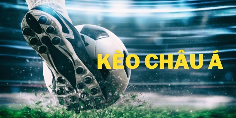 Kèo Châu Á DU88 - Bật Mí Các Hình Thức Cược Tại Nhà Cái - novix