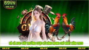 Blog Cá Cược | Cẩm Nang Tối Thượng Cho Dân Cá Cược 69VN - novix