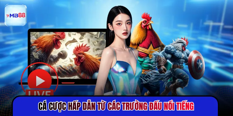 Đá Gà MB88 - Trận Đấu Gay Cấn Cập Nhật Liên Tục 24H - novix