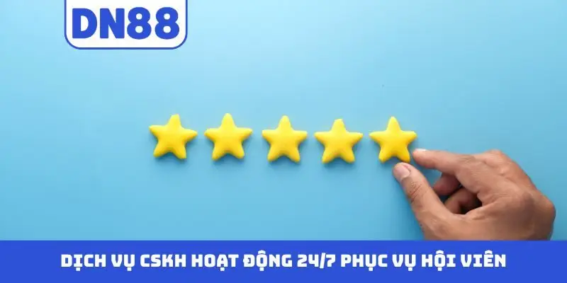 Các Câu Hỏi Thường Gặp Về DN88 - Giải Đáp Chi Tiết Cụ Thể - novix