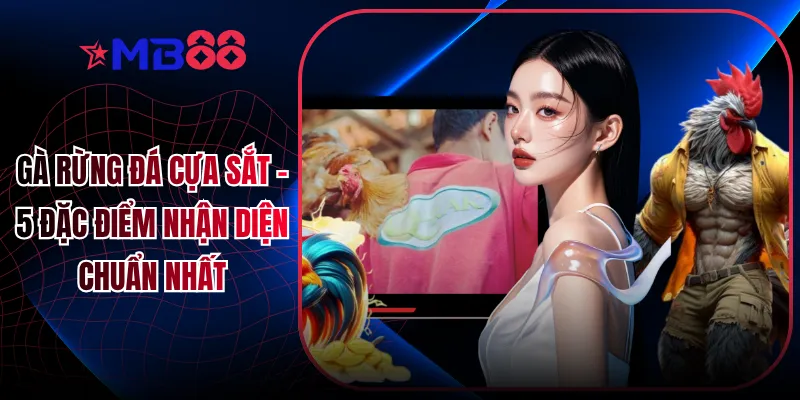 Gà Rừng Đá Cựa Sắt - 5 Đặc Điểm Nhận Diện Chuẩn Nhất - novix