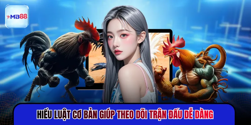 Đá Gà Thomo - Trận Đấu Nảy Lửa Thu Hút Nhất 2026 - novix