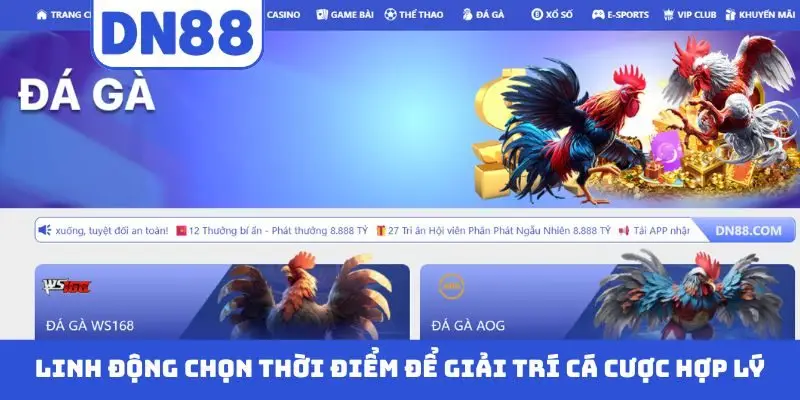 Cách Tham Gia DN88 Không Bị Chặn - Cập Nhật Link Chuẩn 2026 - novix
