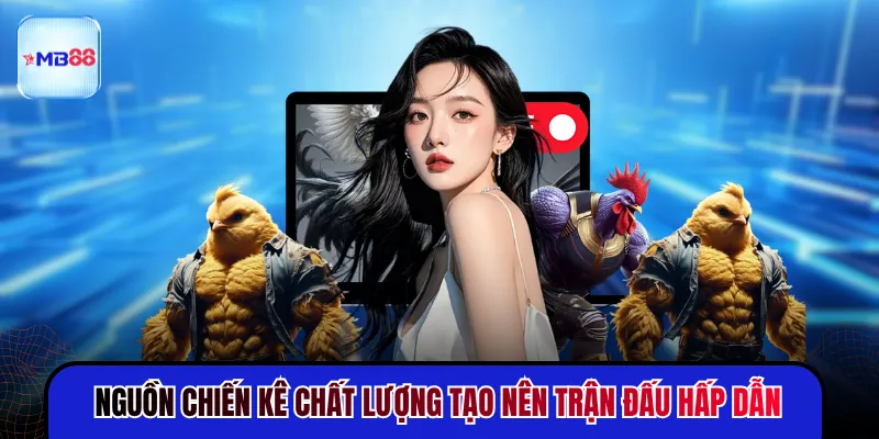 Đá Gà MB88 - Trận Đấu Gay Cấn Cập Nhật Liên Tục 24H - novix