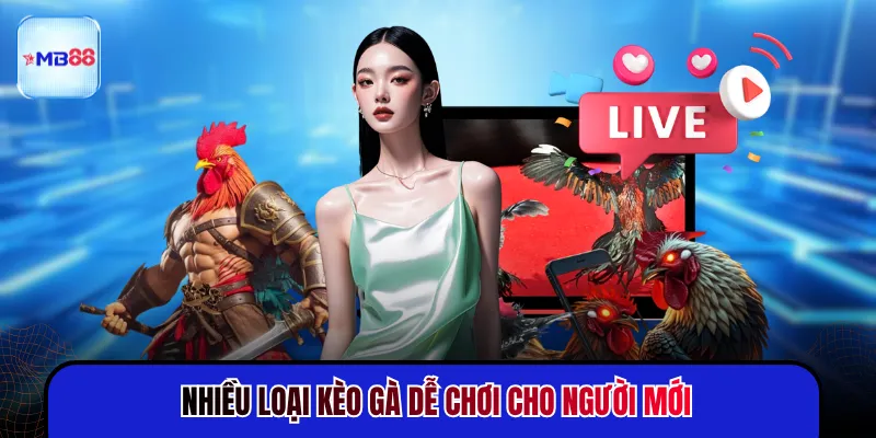 Đá Gà Cựa Dao - 3 Giây Quyết Định Kết Quả Trận Đấu - novix