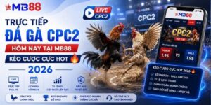 Đá Gà MB88 - Trận Đấu Gay Cấn Cập Nhật Liên Tục 24H - novix