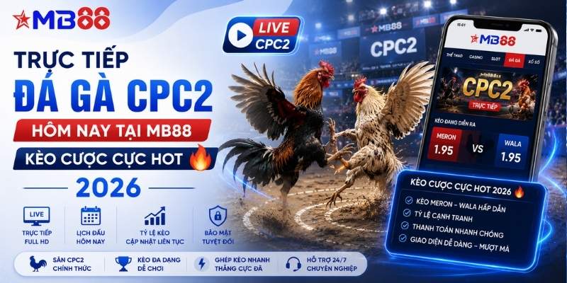 Trực tiếp đá gà CPC2 hôm nay tại mb88 - Kèo cược cực hot 2026 - novix