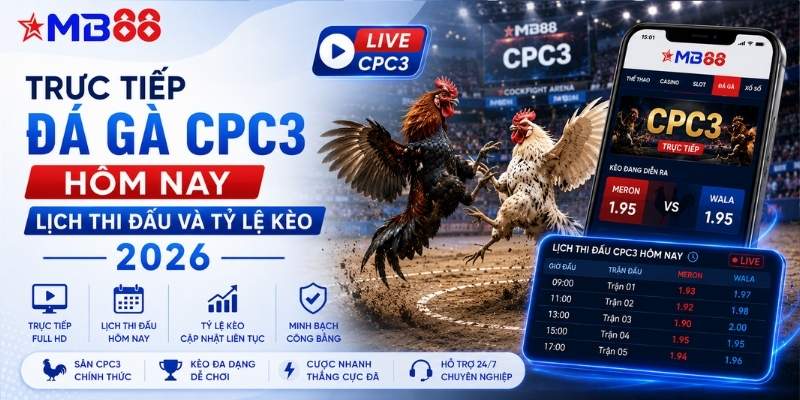 Trực tiếp đá gà CPC3 hôm nay: Lịch thi đấu và tỷ lệ kèo 2026 - novix