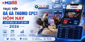 Đá Gà MB88 - Trận Đấu Gay Cấn Cập Nhật Liên Tục 24H - novix