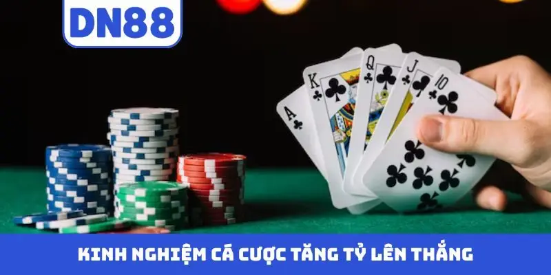 Game Bài DN88 - Khám Phá Cá Cược Chuyên Nghiệp Tại Nhà Cái - novix