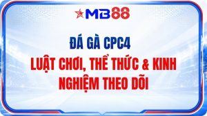 Đá Gà MB88 - Trận Đấu Gay Cấn Cập Nhật Liên Tục 24H - novix