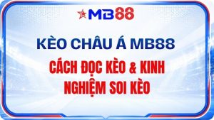 Thể Thao MB88 - Bùng Nổ Danh Mục Với Bộ Môn Hấp Dẫn - novix